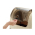  Richell Переноска для транспортировки животных Бежевая 41 × 26 × 33 H (см), фото 3 