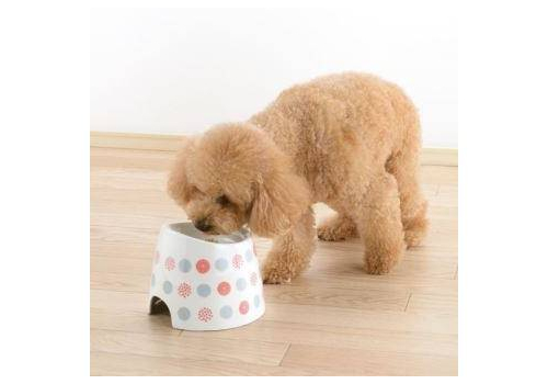  Richell Миска для малых собак анатомическая размер 18,5 × 18,1 × 14,6см, Япония, фото 4 