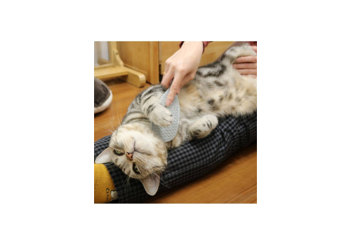  Массажная щётка для восстановления роста луковиц шерсти у кошек, фото 2 